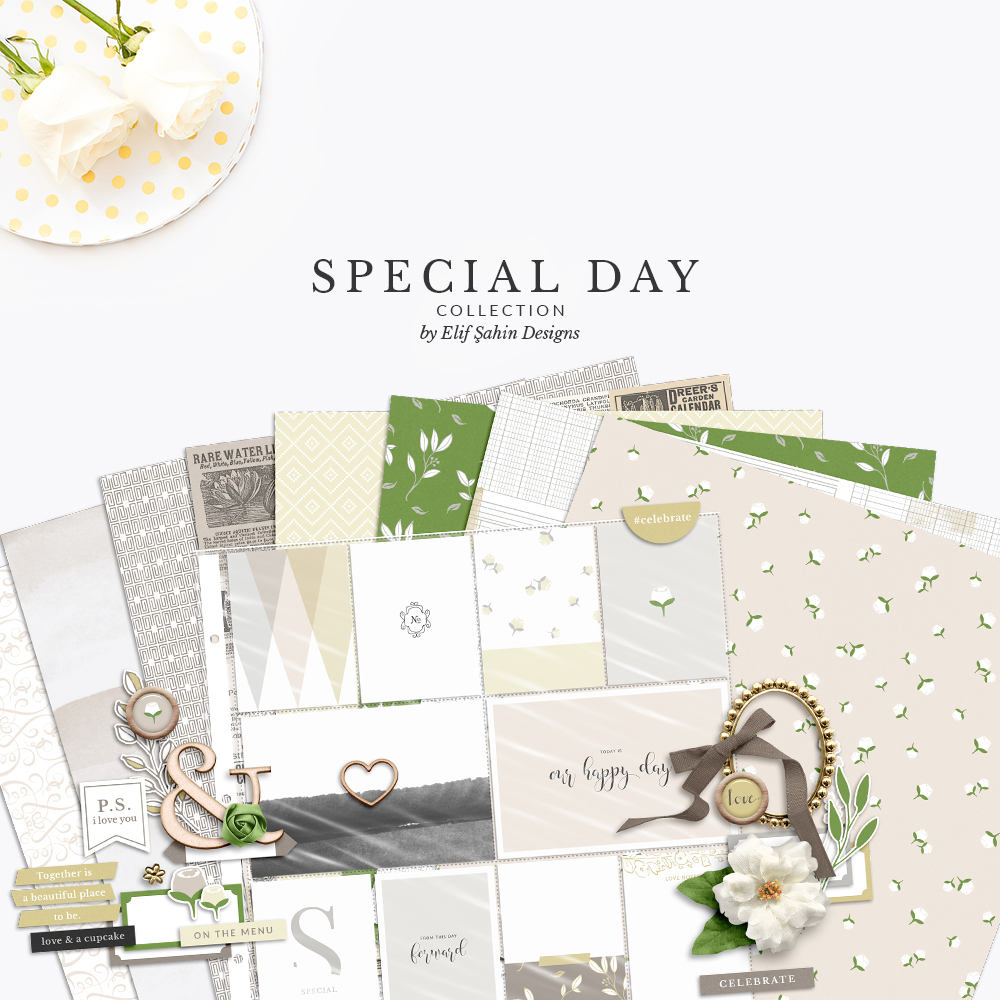Special Day Digital Scrapbook Collection by Sahin Designs. Click to download the kit. Pin & save for later!