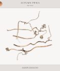 Extracted Autumn Twigs | CU Digital Scrapbook | Sahin Designs