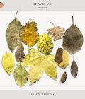 Extracted digital dry leaves | Commercial use digital scrapbook | Sahin Designs