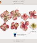 Extracted pink velvet hydrangea flowers - Sahin Designs - CU Digital Scrapbook