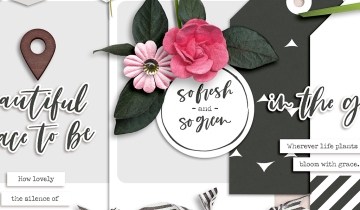 Shop update | Garden Party collection  & July templates