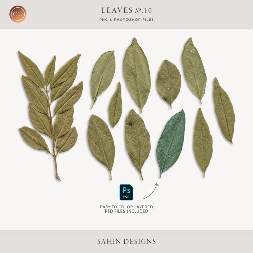 Extracted Dry Leaves - Sahin Designs - CU Digital Scrapbook