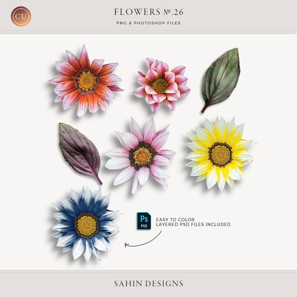 Extracted gazania flowers - Sahin Designs - CU Digital Scrapbook